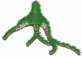 hairy-thumbnail.jpg (3499 bytes)